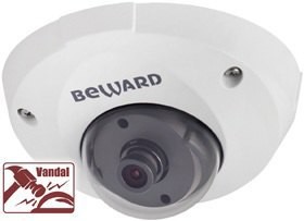 B1210DM (6 мм) уличная купольная IP-камера видеонаблюдения Beward