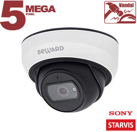 SV3210DBS (2,8 мм) уличная купольная IP-камера видеонаблюдения со встроенным микрофоном Beward